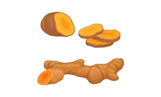 Raíz de jengibre fresca con rodajas de especias aromáticas Ilustración vectorial de alimentos orgánicos naturales