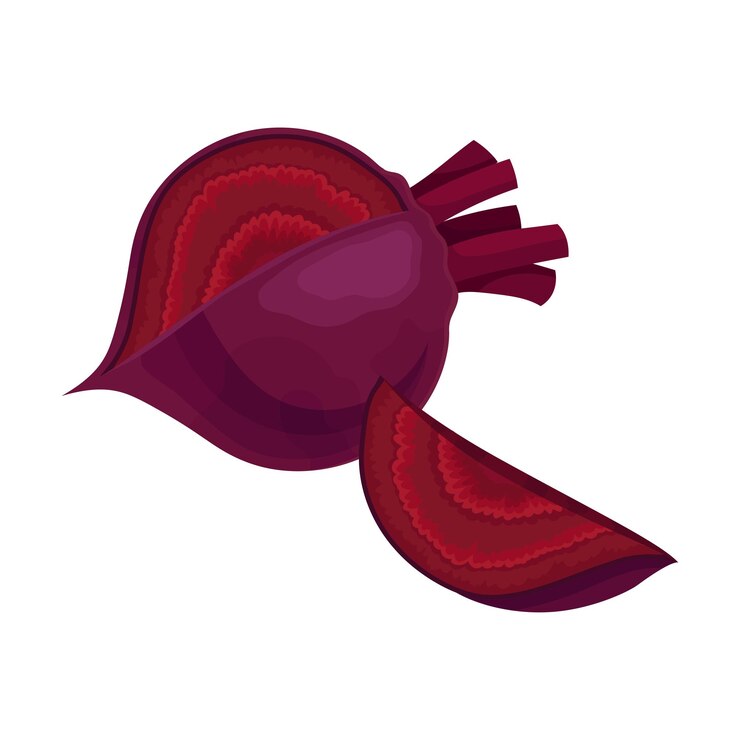 Vector raíz de remolacha entera sin copas de remolacha con una sección ilustración vectorial de recorte concepto de verduras saludables y vitamínicas