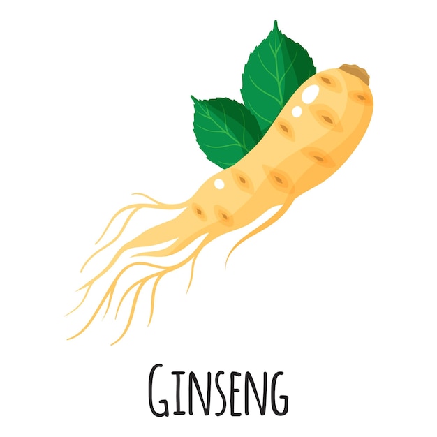 Raíz de superalimento de ginseng para el diseño, la etiqueta y el embalaje del mercado del granjero de la plantilla. Alimentos orgánicos de proteínas energéticas naturales. Ilustración aislada de dibujos animados de vector.