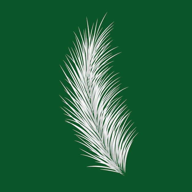rama de abeto de Navidad elemento de diseño aislado en fondo verde