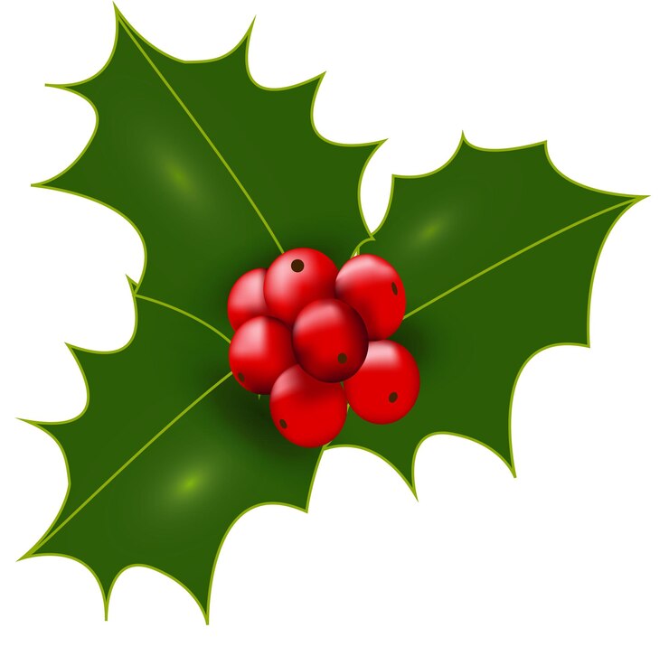 Vector rama de acebo con frutos rojos