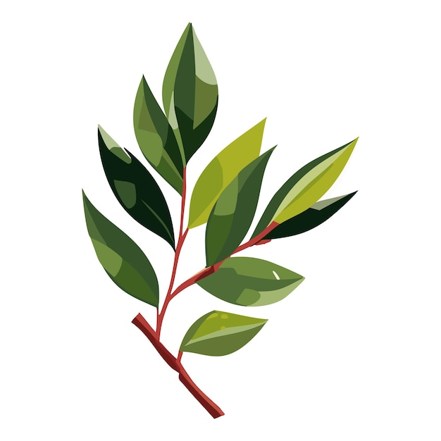 Una rama de un árbol o arbusto hojas verdes ilustración vectorial de árbol sobre un fondo blanco