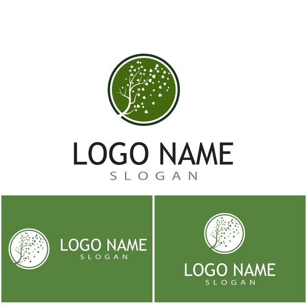 rama árbol vector ilustración verano clipart otoño clipart naturaleza bosque