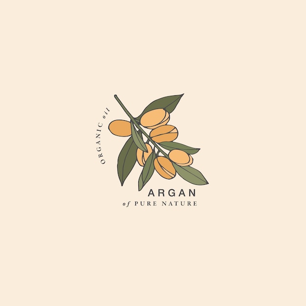 Rama de argán de ilustración vectorial - estilo vintage grabado. Composición del logo en estilo botánico retro.