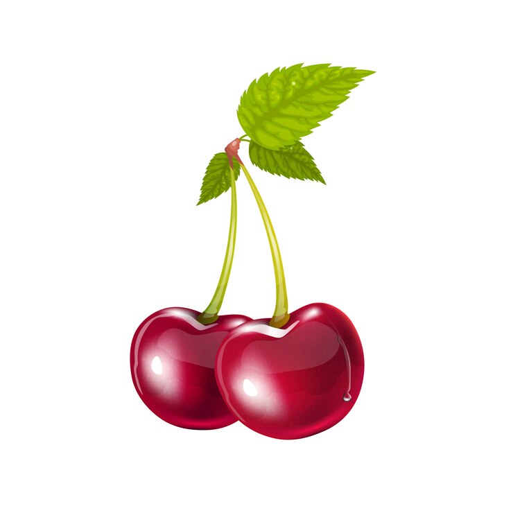 Vector rama de cerezo con hojas verdes