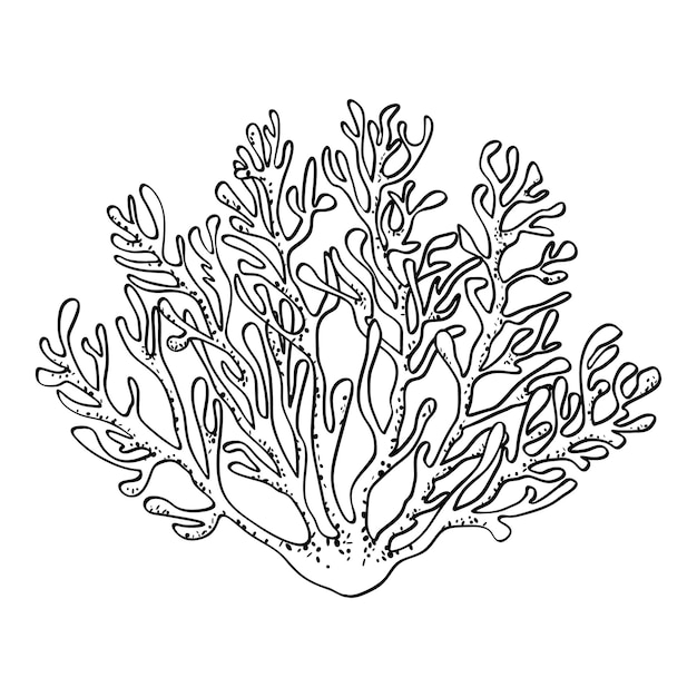 Vector rama de coral aislada sobre fondo blanco contorno negro puntos textura boceto dibujado a mano estilo garabato ilustración vectorial de la vida marina suelo oceánico animal planta naturaleza diseño submarino