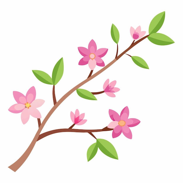 La rama de la flor de cerezo rosa