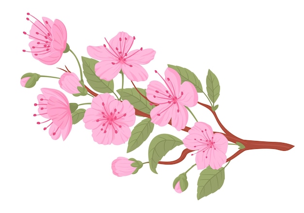 Vector la rama de la flor de sakura las flores y brotes rosados de la cereza japonesa florecen la rama plana del árbol de sakura la ilustración vectorial de la rama de cereza de primavera