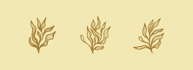 Rama floral y flores minimalistas para el logotipo línea dibujada a mano hierba de boda hojas elegantes símbolo premium creativo universal plantilla de logotipo de icono de signo vectorial ilustración vectorial