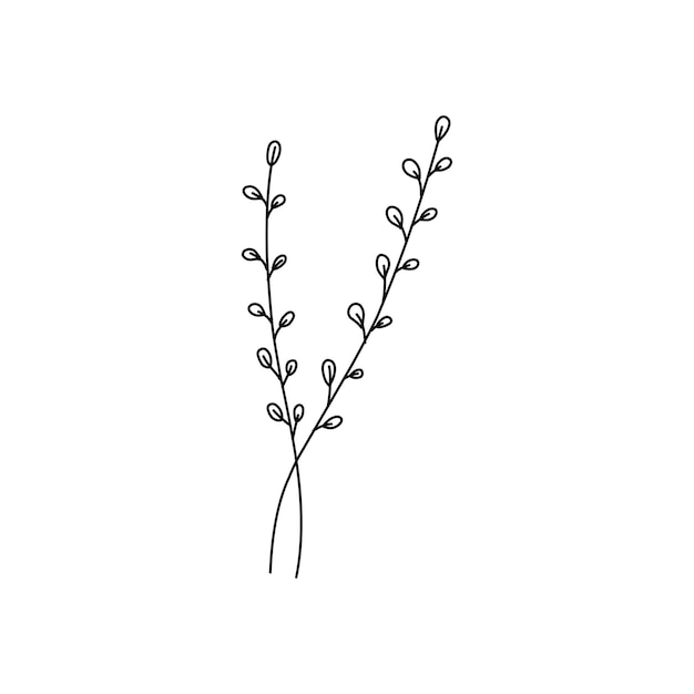 Rama floral y hojas minimalistas para logotipo o tatuaje Hierba de boda de línea dibujada a mano