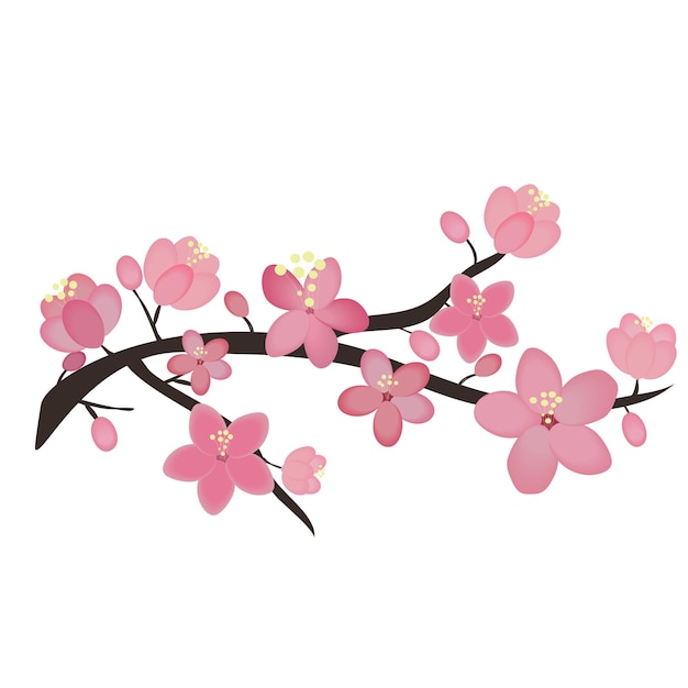 Rama floreciente de sakura ilustración vectorial flor de cerezo aislado sobre fondo blanco japonés