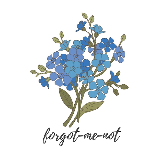 Rama de flores azules nomeolvides aislado ilustración vectorial