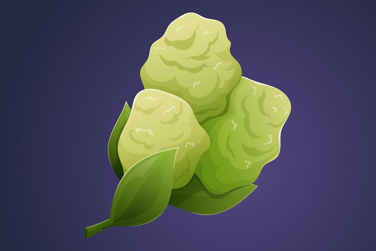Vector rama con flores y hojas de arbusto de hortensia verde dibujado vectorial de una planta ornamental de jardín