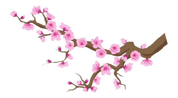 Rama con flores de sakura vector de flor de cerezo | Vector Premium Rama con flores de sakura vector de flor de cerezo | Vector Premium