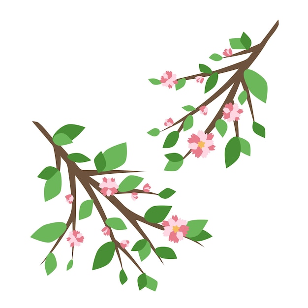 Vector rama con follaje y flores rosas aisladas sobre fondo blanco elementos decorativos vectoriales