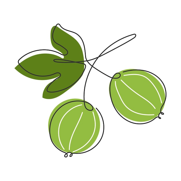 rama de grosella línea continua dibujada abstracto dibujado ilustraciones de alimentos vitaminas saludables alimentos veganos