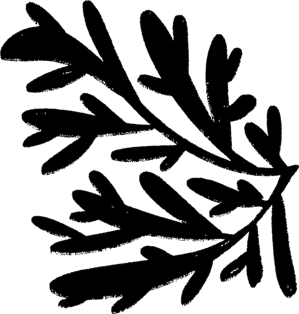 Vector rama grunge de tiza simple con hojas ovaladas