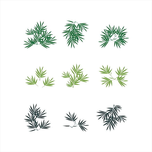 rama de hojas en conjunto de ilustración de color verde