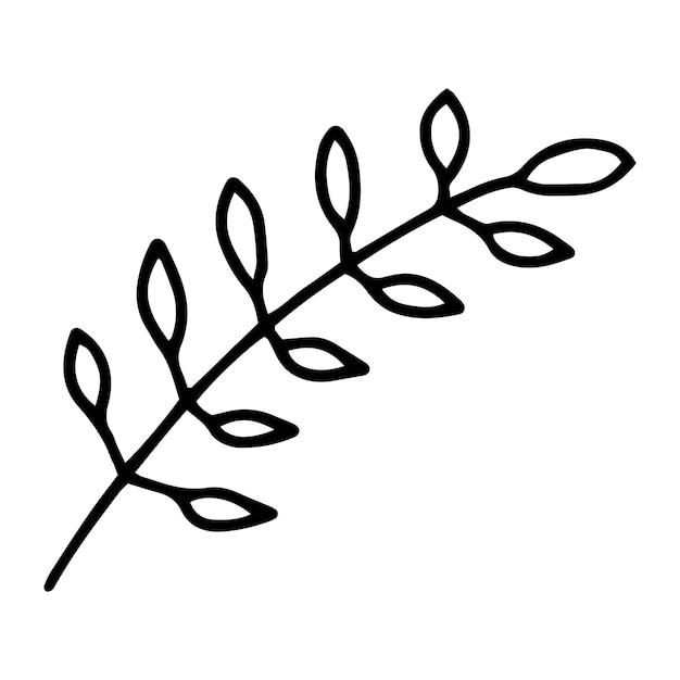 Rama con hojas dibujadas al estilo de DoodleDibujo de esquema a mano Ilustración botánicaImagen en blanco y negroMonochromeDibujo simpleVector