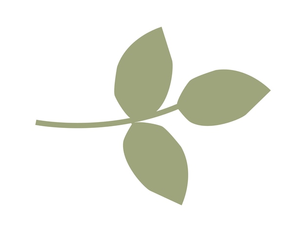 Rama con hojas ilustración vectorial