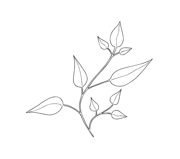 Rama con hojas planta naturaleza doodle dibujos animados lineales libro para colorear