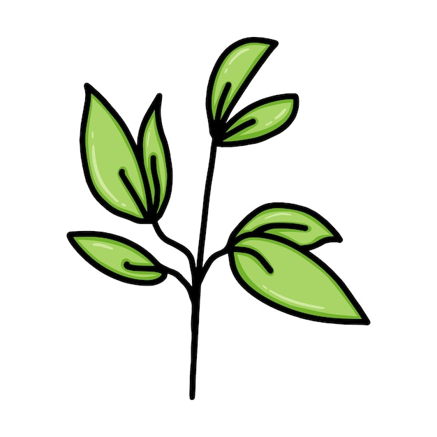 Rama con hojas planta naturaleza doodle dibujos animados lineales