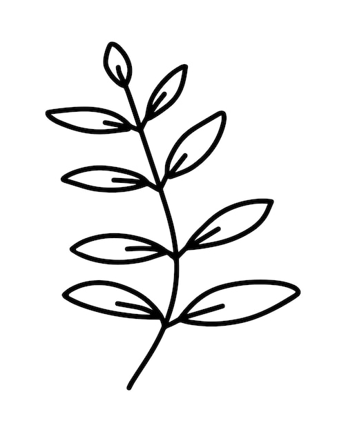 Rama con hojas planta naturaleza doodle dibujos animados lineales
