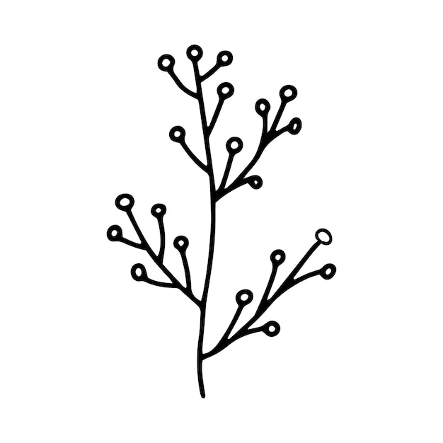 Rama con ilustraciones de bayas de Doodle Imagen de contorno en blanco y negro Doodle botánico Un dibujo simple de una línea Vector