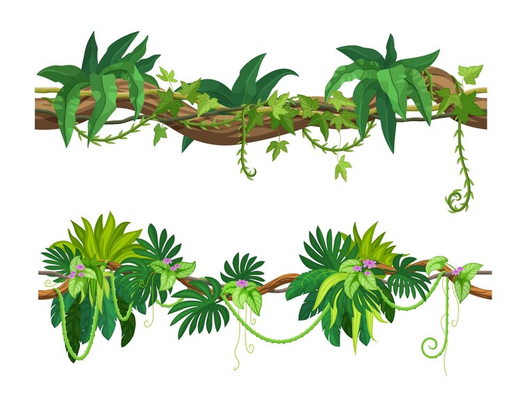 Vector la rama de la liana de la selva tropical con flores