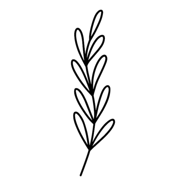 Una rama linda con hojas aisladas sobre un fondo blanco Ilustración dibujada a mano de un clipart botánico