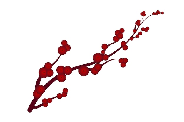 Rama de Navidad con bayas rojas aisladas sobre un fondo blanco Decoración para una corona de Navidad