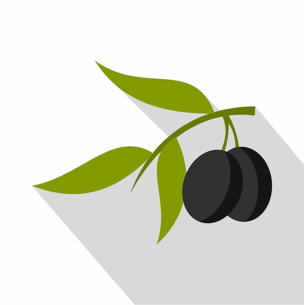 Rama de olivo fresco con icono de aceitunas Ilustración plana del icono de vector de rama de olivo para web aislado sobre fondo blanco