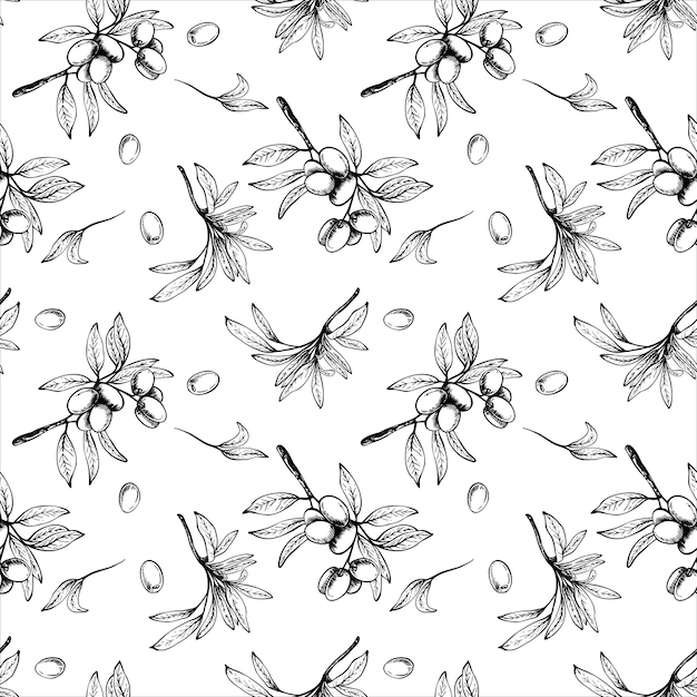 Rama de olivo con hojas y bayas vector de frutas patrón sin costuras negro y blanco lineal