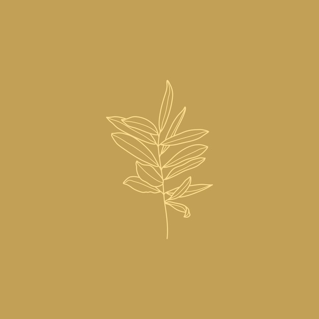 Rama de olivo con hojas. Esquema de hojas botánicas en un estilo minimalista moderno. Ilustración de vector. Para imprimir en camisetas, diseño web, salones de belleza, carteles, crear un logotipo y otros