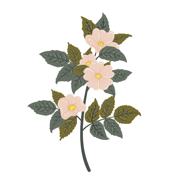 Rama de rosa salvaje Ilustración vectorial brezo dogrose eglantine en estilo de dibujos animados plana