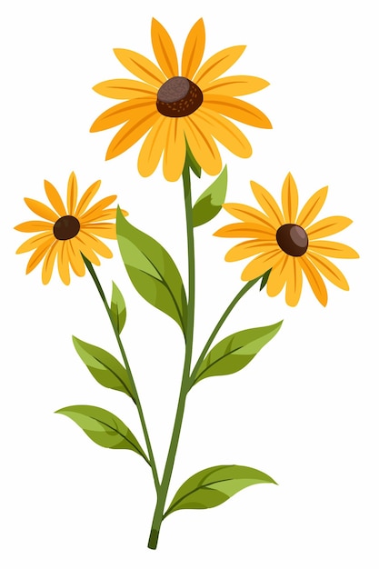 Rama de Rudbeckia con hermosas flores amarillas en fondo blanco Arte vectorial