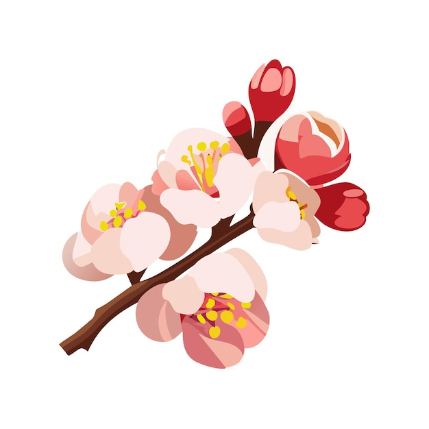 Rama de sakura cerezas rosadas árboles en flor ilustración vectorial sobre un fondo blanco