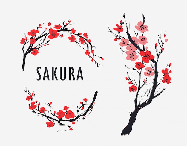 Rama de sakura con flores. ilustración vectorial