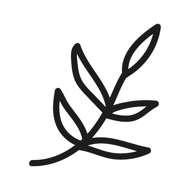 Rama de té dibujada a mano, follaje, rama de hierbas, clipart de garabateo lineal