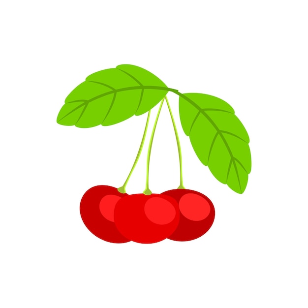 Una rama con tres cerezas sobre un fondo blanco aislado Ilustración en formato vectorial