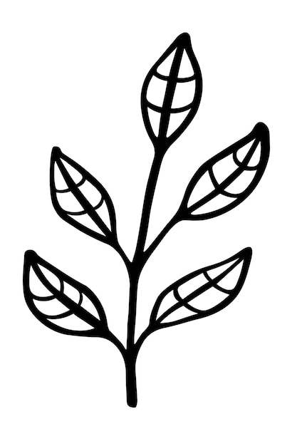 Rama única con hojas en tinta aislada sobre fondo blanco Elemento decorativo vectorial dibujado a mano