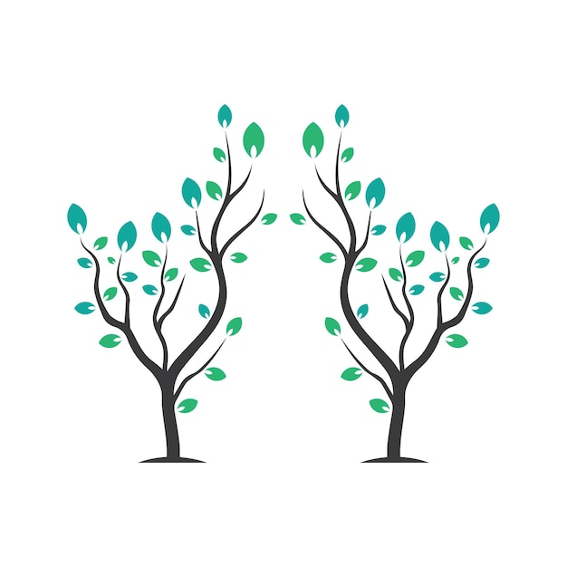 Rama vectorial Ilustración dibujada a mano de la plantilla de diseño de rama de árbol