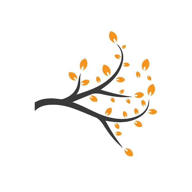 Rama vectorial Ilustración dibujada a mano de la plantilla de diseño de rama de árbol