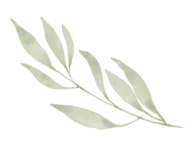 Rama vectorial verde sobre fondo blanco aislado Ilustración dibujada a mano de planta abstracta