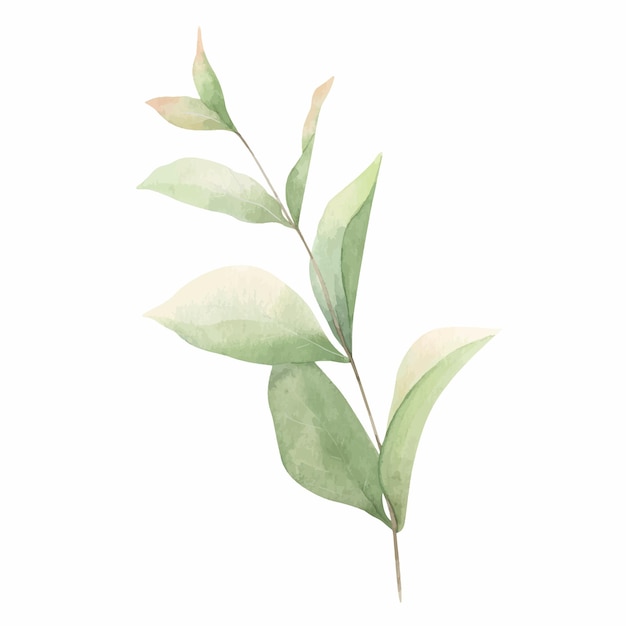 Rama verde abstracta con hojas Hoja verde Ilustración dibujada a mano