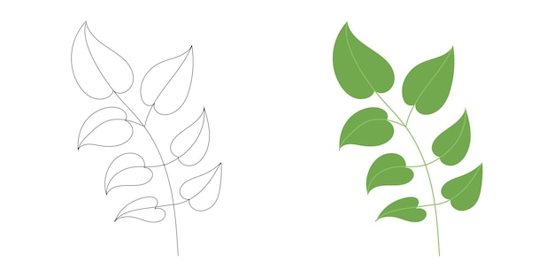 rama verde brillante con hojas lisas en un estilo limpio ideal para el jardín de proyectos ecológicos de arte botánico