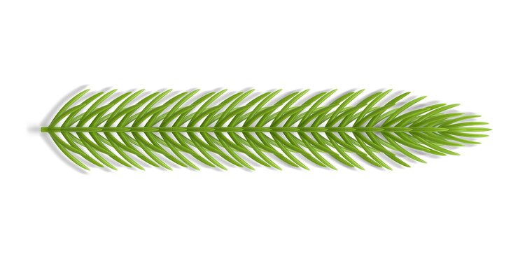 Vector rama verde de coníferas de plástico realista con agujas plantilla 3d vector de árbol de navidad tradicional