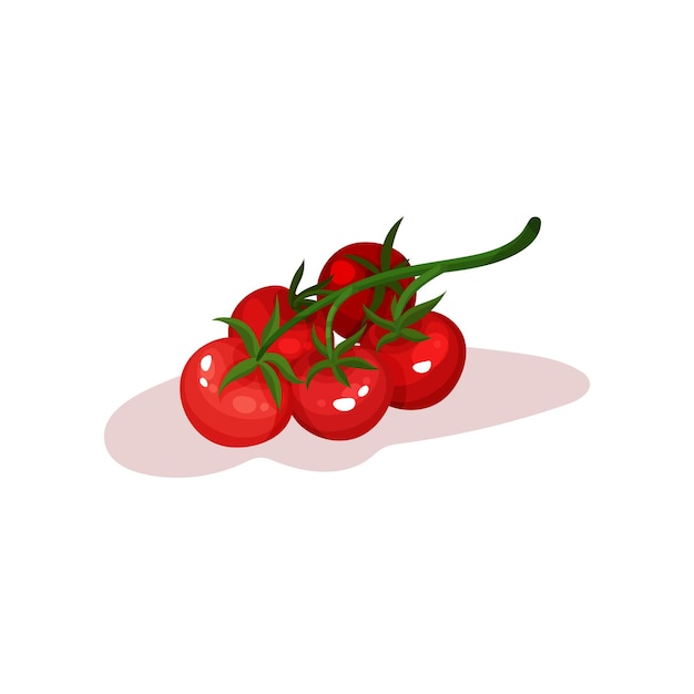 Rama verde de tomates rojos maduros Verdura saludable y sabrosa Elemento de vector plano para empaque de productos o afiche promocional