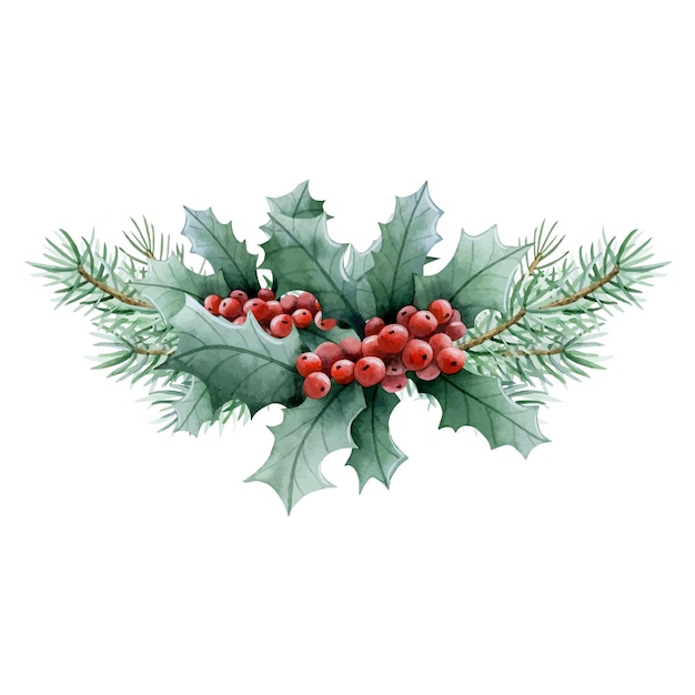 Ramas del árbol de Navidad con bayas rojas de la planta de holly ilustración de acuarela