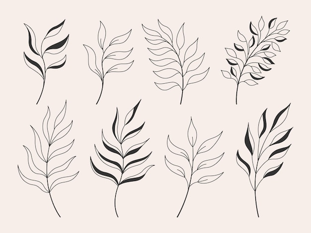 Ramas de árboles de decoración floral de plantas y hierbas minimalistas con hojas